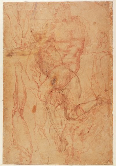 Studio di Figura da Michelangelo Buonarroti